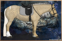 Horse Color:Silver Smoky Blue Roan Tobiano