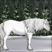 Horse Color:Gray White Spotted Silver Amber Cream Champagne Roan Dun Frame Rabicano
