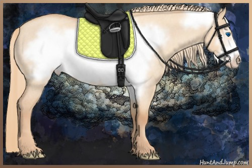Horse Color:Gold Champagne Roan Dun Frame Rabicano