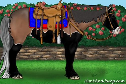 Horse Color:Bay Splash 