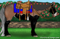 Horse Color:Bay Splash 