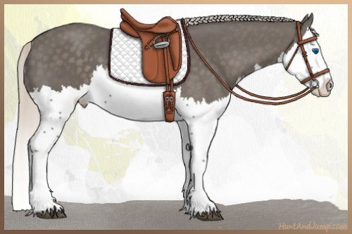 Horse Color:Silver Black Splash 