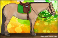 Horse Color:Bay Dun