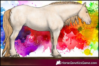 Horse Color:Gold Champagne Roan 
