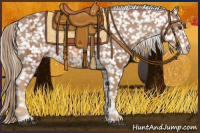 Horse Color:Chestnut Sabino Appaloosa