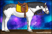 Horse Color:Blue Roan Splash Frame 