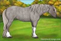 Horse Color:Silver Blue Roan Tobiano 