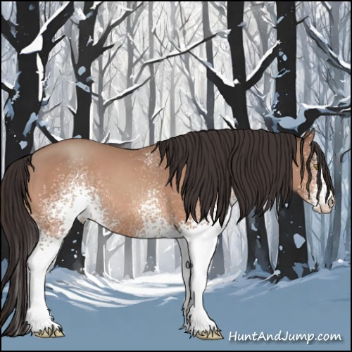 Horse Color:White Spotted Sable Champagne