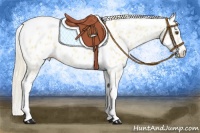 Horse Color:Palomino Dun Tobiano Near Leopard