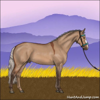 Horse Color:Silver Bay Roan Dun 