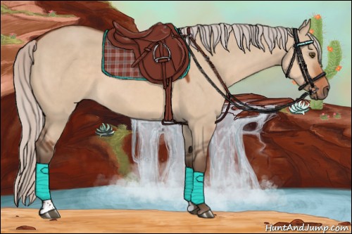 Horse Color:Silver Bay Dun Sabino 