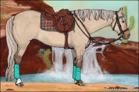 Horse Color:Silver Bay Dun Sabino 