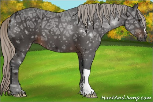 Horse Color:Gray Silver Brown Ice 