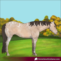 Horse Color:Amber Champagne Ice 