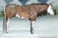 Horse Color:Bay Ice Roan Splash 