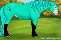 Horse Color:Gold Cream Champagne Tobiano