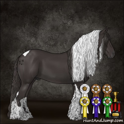 Horse Color:Smoky Black Tobiano 