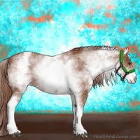 Horse Color:White Spotted Chestnut Appaloosa 