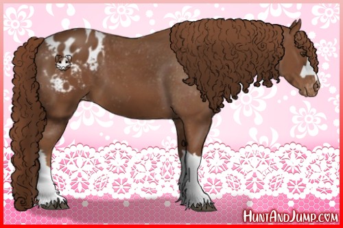 Horse Color:Chestnut Blanket 