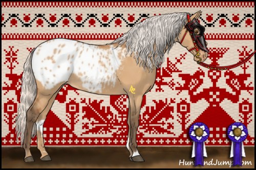 Horse Color:Silver Bay Dun Appaloosa 