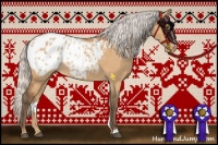 Horse Color:Silver Bay Dun Appaloosa
