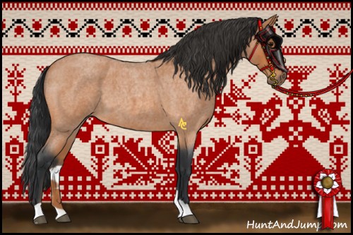 Horse Color:Bay Roan 