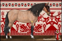 Horse Color:Bay Roan 