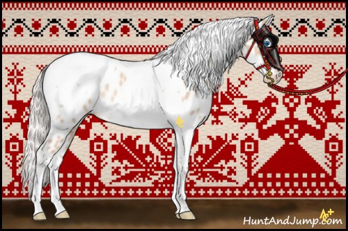 Horse Color:Silver Amber Champagne Dun Tobiano Frame Leopard Rabicano 