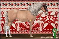 Horse Color:Gold Champagne 