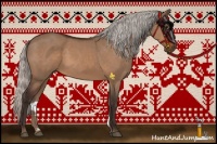 Horse Color:Silver Bay Dun