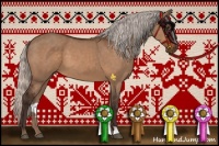 Horse Color:Silver Brown Dun 