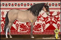 Horse Color:Amber Champagne