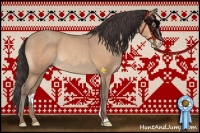 Horse Color:Amber Champagne