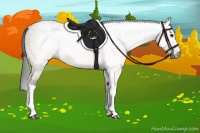 Horse Color:Gray Brown Dun