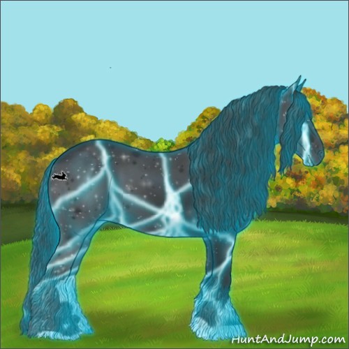 Horse Color:Thunderstruck Black