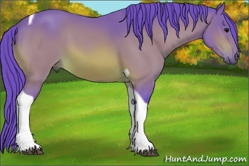 Horse Color:Watercolor Bay Tobiano 