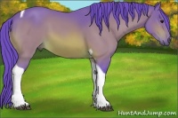 Horse Color:Watercolor Bay Tobiano 
