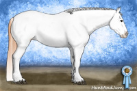 Horse Color:Bay Splash Tobiano Blanket  and Bay Splash Tobiano Varnish 