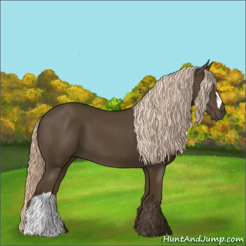 Horse Color:Chocolate Palomino 
