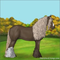 Horse Color:Chocolate Palomino 
