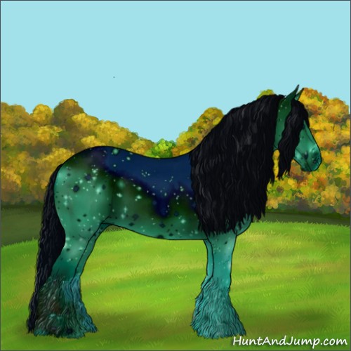 Horse Color:ERROR: UNKNOWN ANOMALY