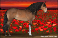 Horse Color:Gray Brown 