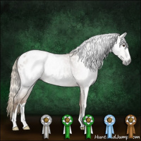 Horse Color:Gray Chestnut Sabino Appaloosa 
