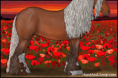 Horse Color:Silver Bay Roan 