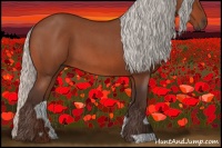 Horse Color:Silver Bay Roan 