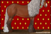 Horse Color:Silver Bay 