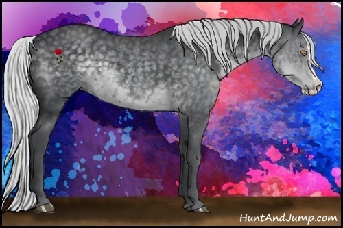Horse Color:Silver Black Chinchilla Splash