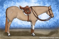 Horse Color:Red Dun Tobiano Rabicano 