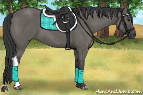 Horse Color:Grullo 