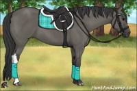 Horse Color:Grullo